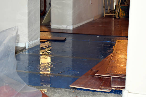 Professional Water Damage Restoration technician working in Carthage, NY
